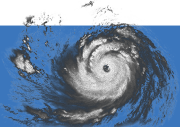 Hurricanes_MMFA_Tag