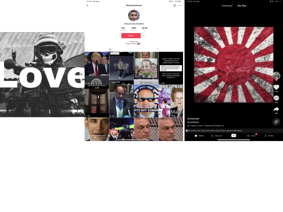tiktok_hate symbols