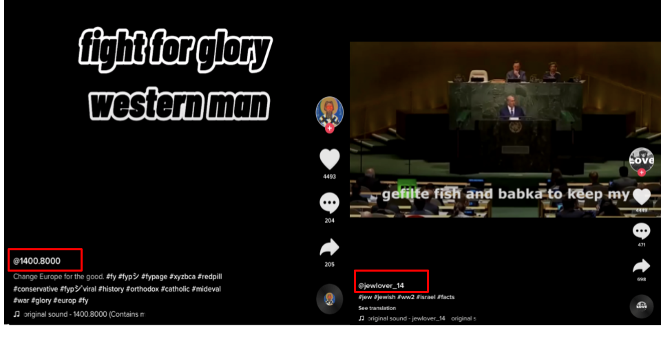 tiktok_hate symbols