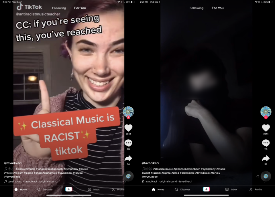 tiktok_racism